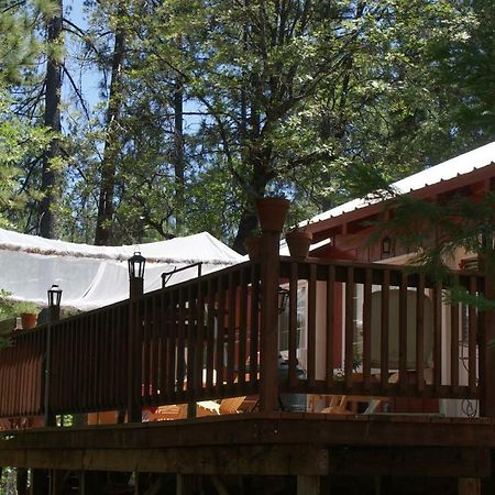 The Red Rooster Lodge Coulterville Extérieur photo