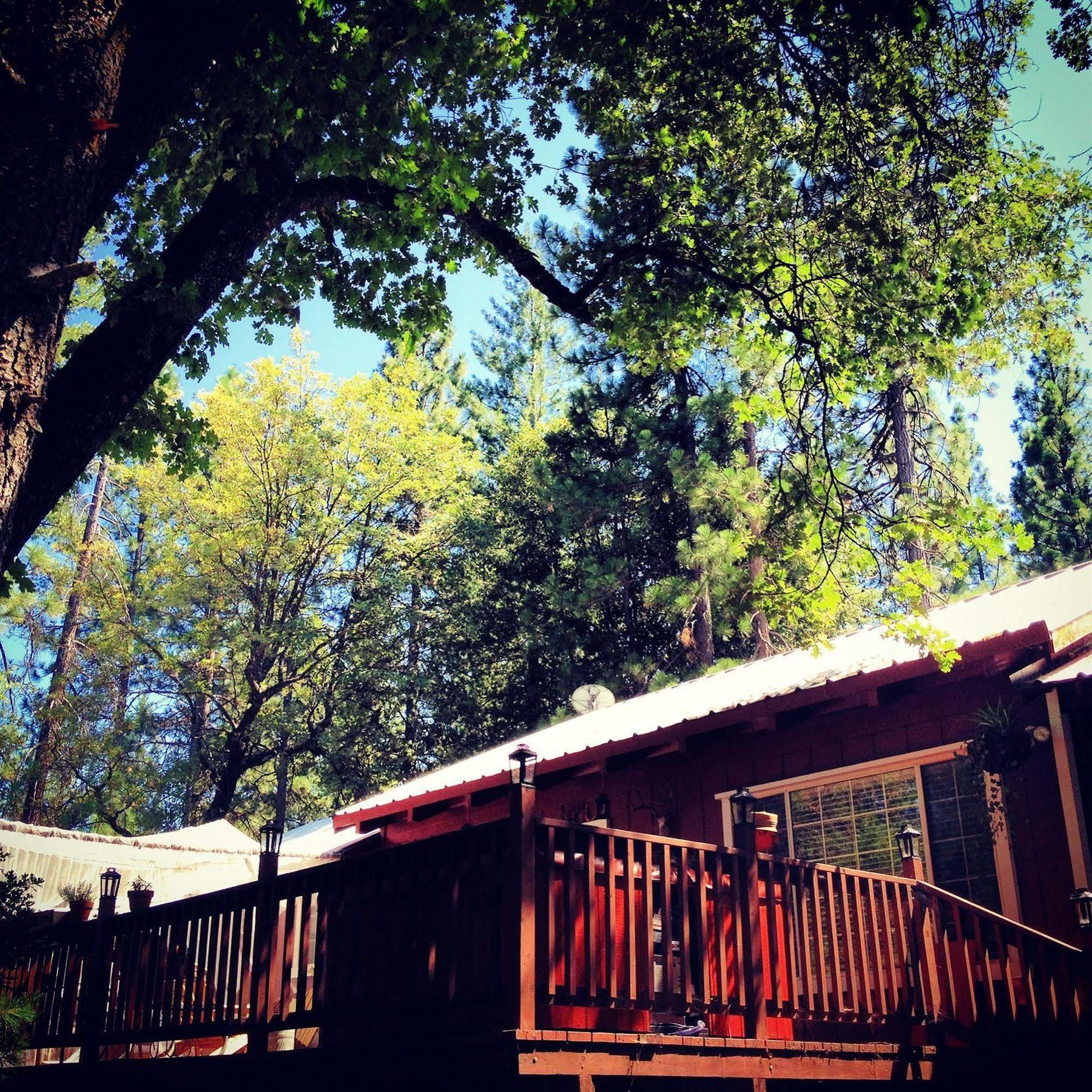 The Red Rooster Lodge Coulterville Extérieur photo