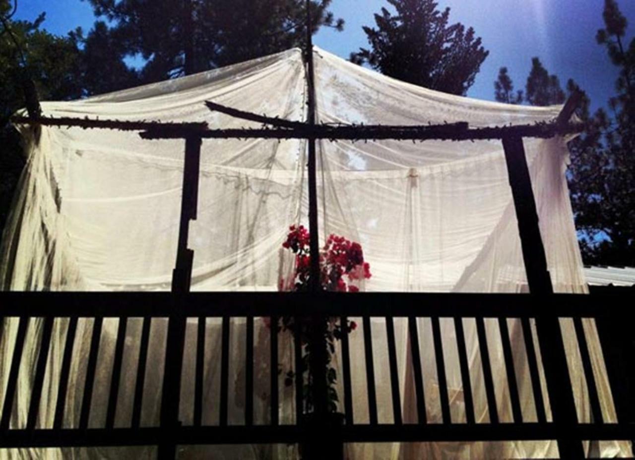 The Red Rooster Lodge Coulterville Extérieur photo